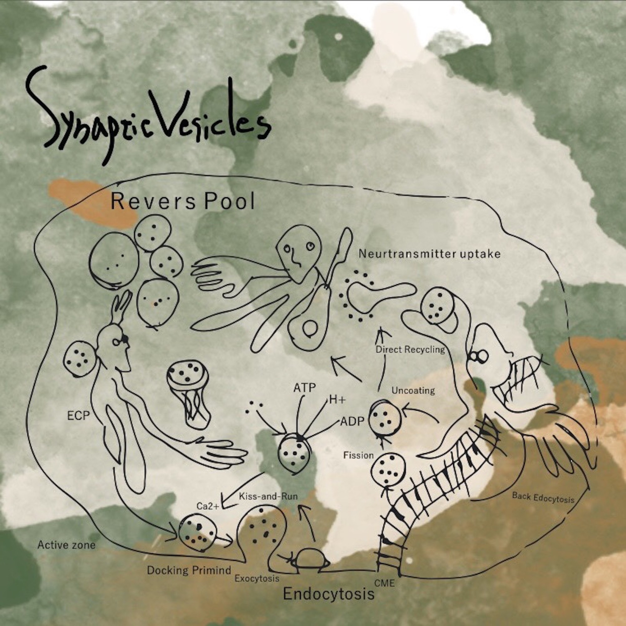 Album artwork