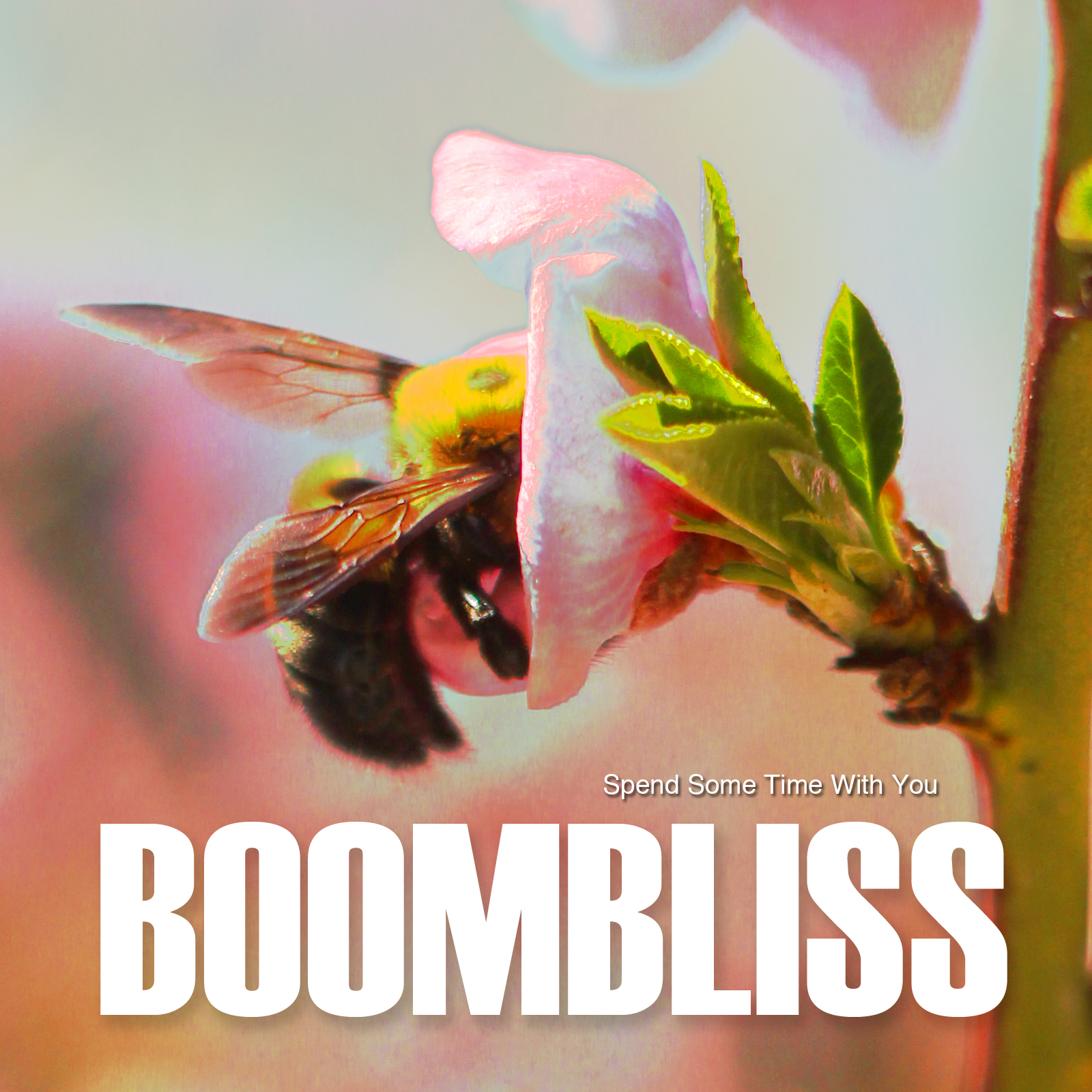 Album artwork